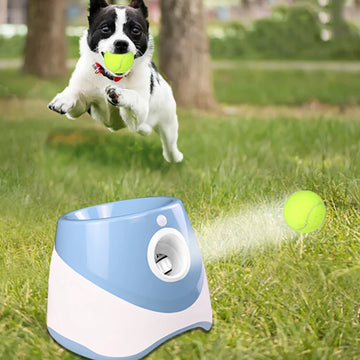 Ball Launcher Toy For Dogs Pet Products Dog Toys Keep Healthy Automatic Throw Pet 3 Distances Settings For Indoor Outdoor play